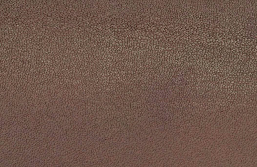 Kůže jehněčina tmavě krémová